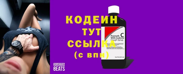 стаф Костерёво