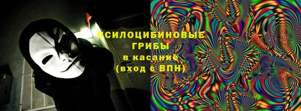 стаф Костерёво
