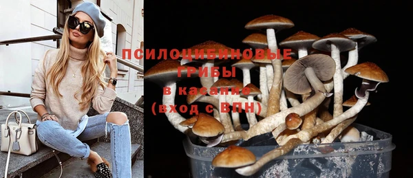 мяу мяу кристалл Коряжма
