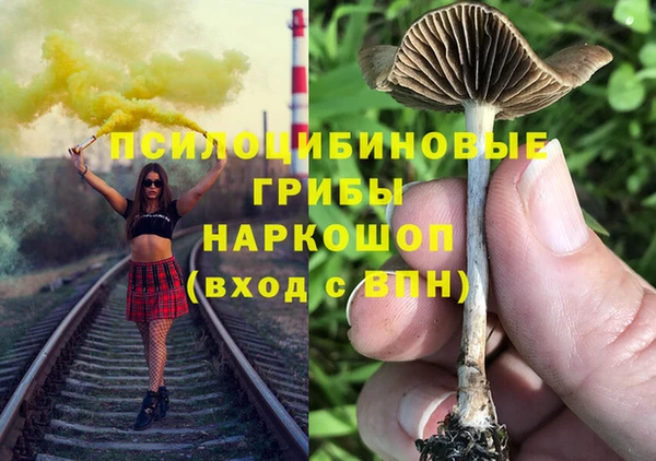 мяу мяу кристалл Коряжма