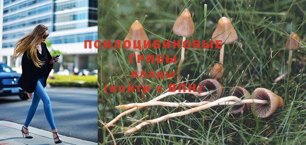 мяу мяу кристалл Коряжма