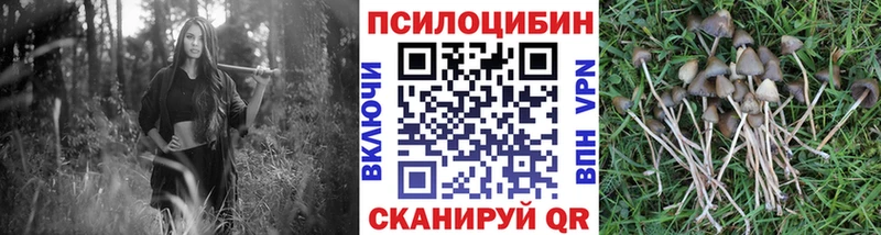 Псилоцибиновые грибы прущие грибы  Лиски 