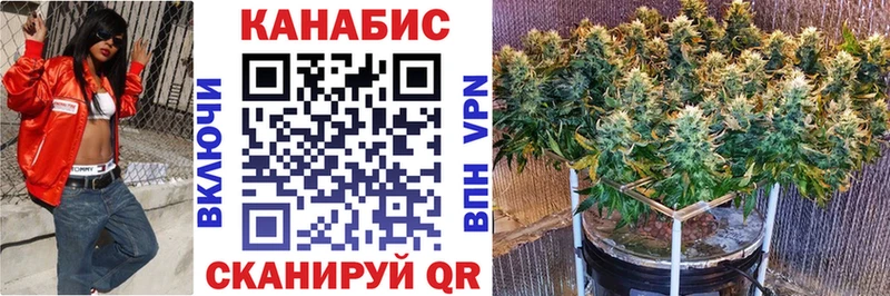 сколько стоит  ОМГ ОМГ зеркало  Марихуана Amnesia  Лиски 